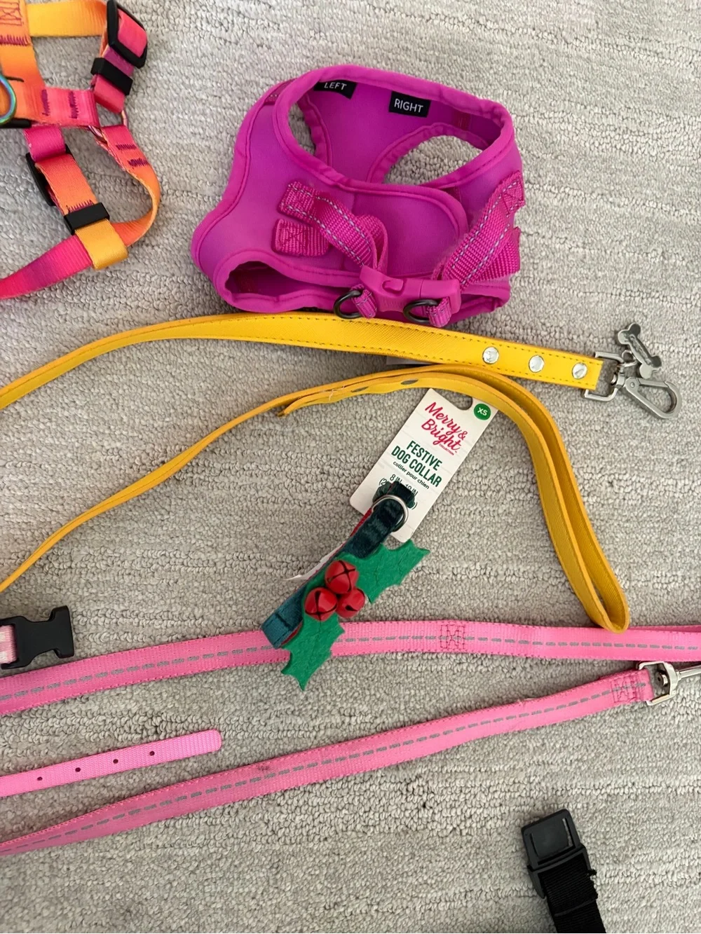 Puppy Accessory Set - Some New, Others Gently Used